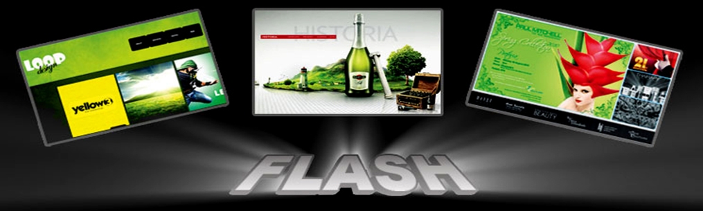 Web Based Flash Website design Service Company in Surrey | Kent | London UK